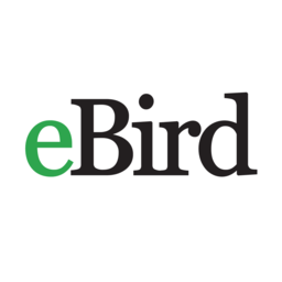 ebird鸟类观察记录app