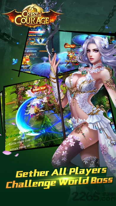 勇氣的頂峰中文版 v1.0 安卓漢化版 1