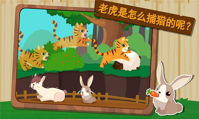森林动物中文