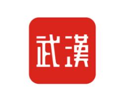 武汉市纪委监察局网站软件