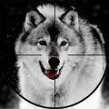 ʵ(real wolf hunter)