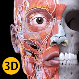 解剖学三维图谱app