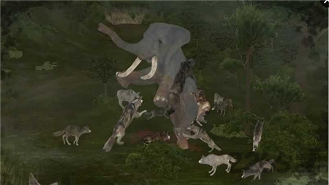 wild animals online(wao) v3.42 ׿1