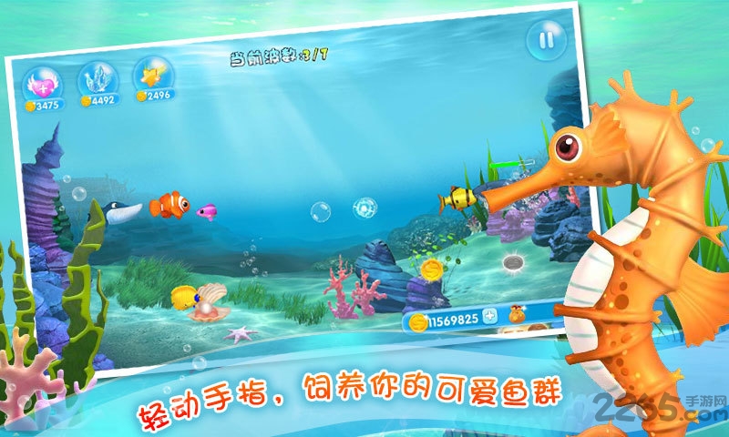 口袋水族箱内购破解版的图册