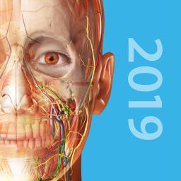 2019人体解剖学图谱app