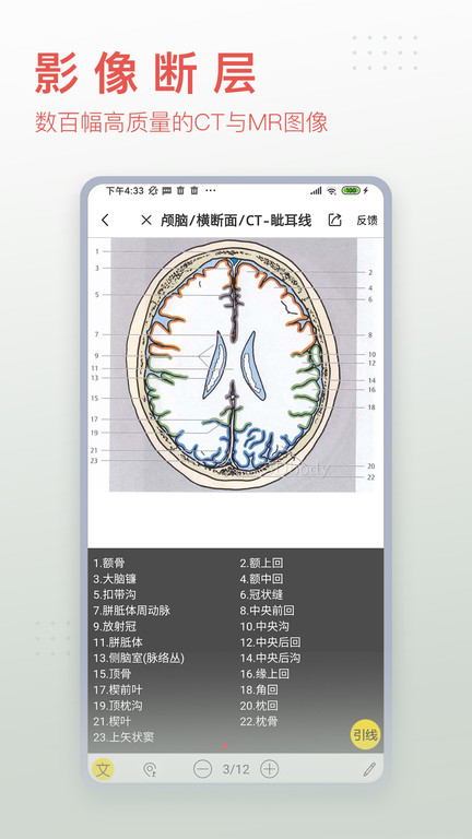 3dbody解剖图手机版 v8.7.51 安卓官方版 2