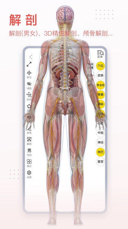 3dbody解剖�D手�C版 v8.6.51 安卓官方版 4