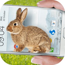 手机上的小兔子app