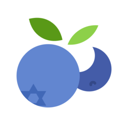 蓝莓记账app