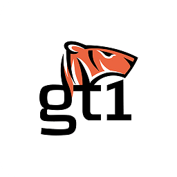 gt1养车软件