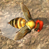 蜂巢模拟器3d手机版