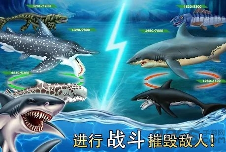 shark world v11.95 ׿ 0