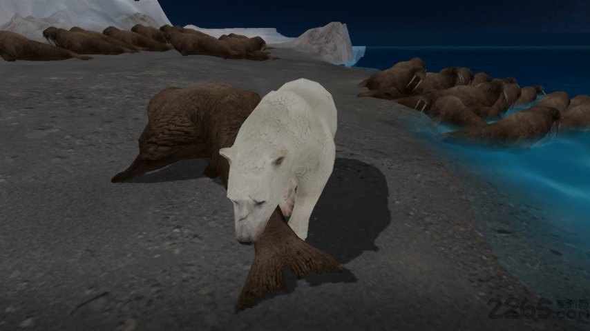 wolf online2Ϸ v1.0.6 ׿ 2