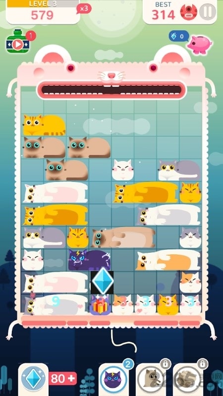 slidey cat