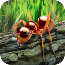 蚂蚁生存模拟器中文版最新版