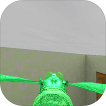 苍蝇生存3d模拟手机版