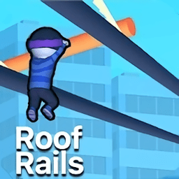 roof rails