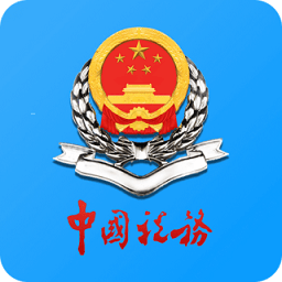 天津税务局官方版