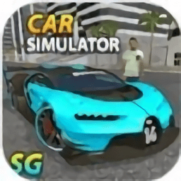 ؼʻϷ(car simulator sg)