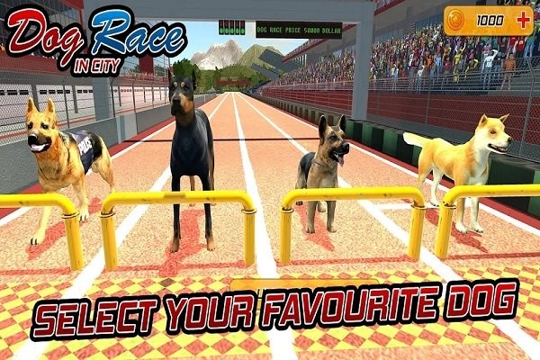 Ȯֻ(dog racing game:pet animal run simulator) v0.1 ׿1