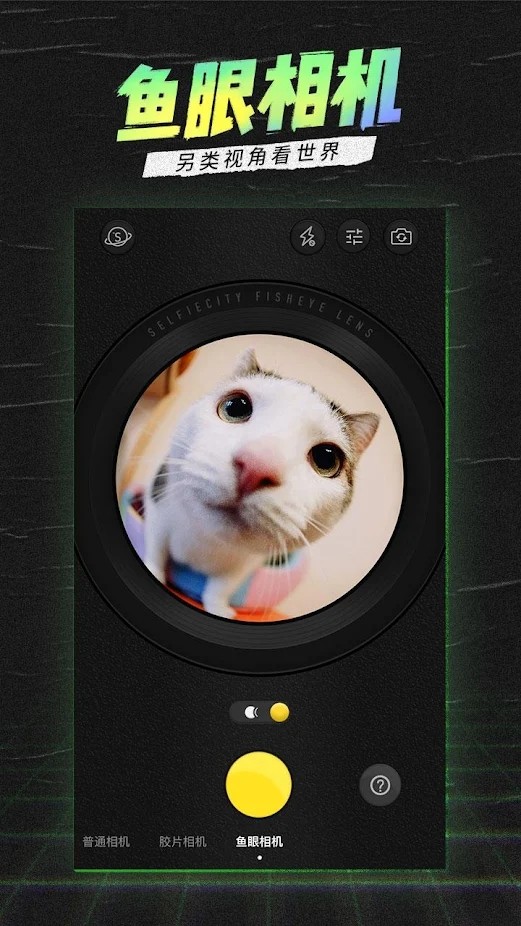selfiecity v4.4.8.0 ׿0