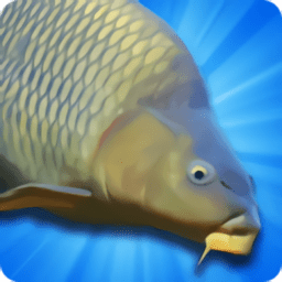 ģ(carp fish sim)