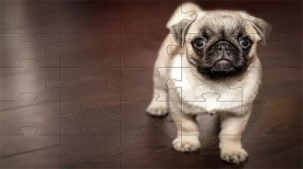 ͹ƴͼϷ(pugs jihsaw puzzle) v1.0.1 ׿ 2