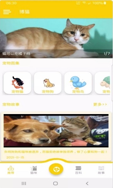  Bomao Cute Pet Client v1.0.1 Android Latest Version 1