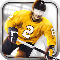 冰球3d游戏(icehockey)
