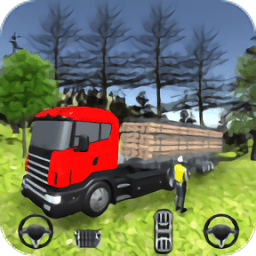 ˾°(truck driver cargo transport)