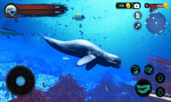 ׾ģϷ(the beluga whale) v1.0.1 ׿0