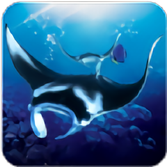 ģϷ(the manta rays)