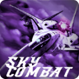 սлֻ(sky combat)