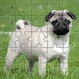 ͹ƴͼϷ(pugs jihsaw puzzle)