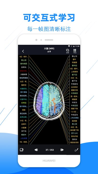 影像解剖图谱免费版 v3.9.3 安卓电子版 4