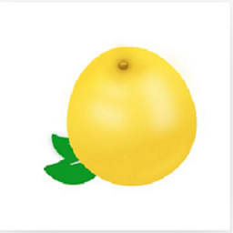 黄柚水印相机app