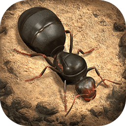 蚂蚁进化的游戏