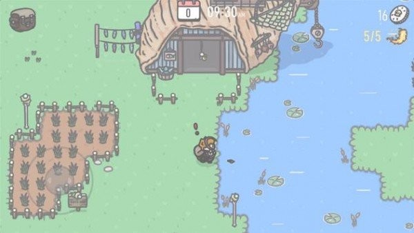 tiny vale
