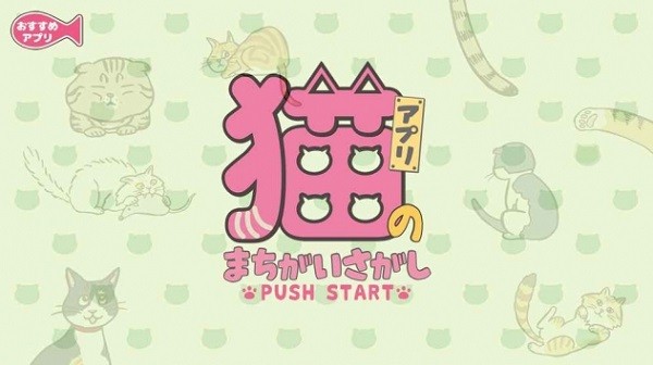 尋找貓的錯誤官方版