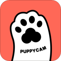  Puppycam intelligent pet feeder