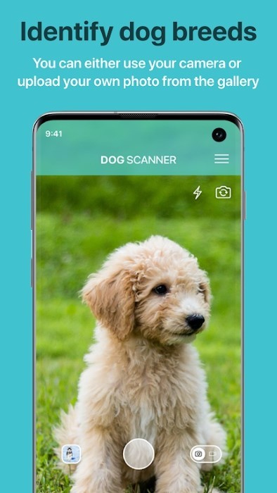 app(dog scanner) v12.1.0 ׿0