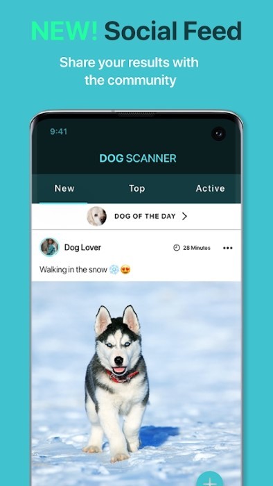 app(dog scanner) v12.1.0 ׿1