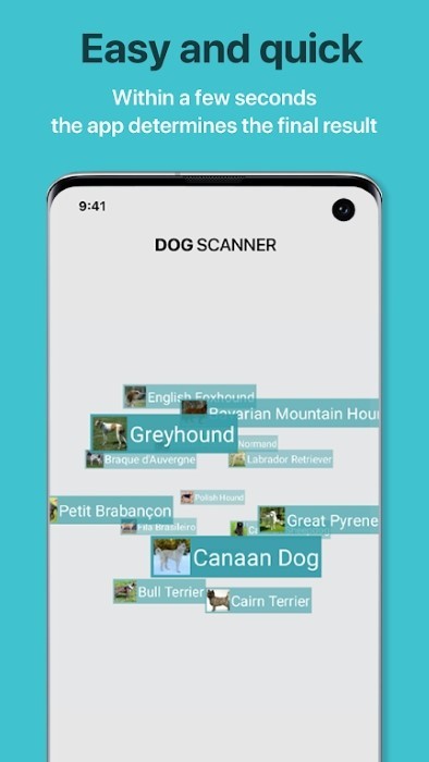 app(dog scanner) v12.1.0 ׿4