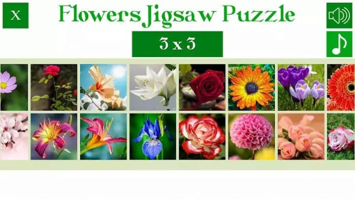 ƴͼٷ(flowers puzzle) v1.0.1 ׿1