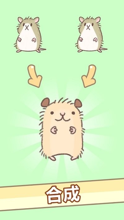 Ϸ(hamster race) v1.0 ׿0