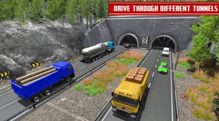 Ϸ(Cargo Truck Game) v1.0 ׿ 2