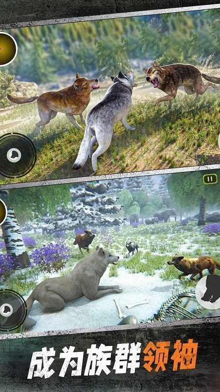 野狼模拟3d北极狼猎杀游戏 v1.0 安卓版 3