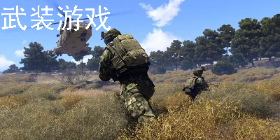 武装游戏下载-武装游戏推荐-武装游戏手机版