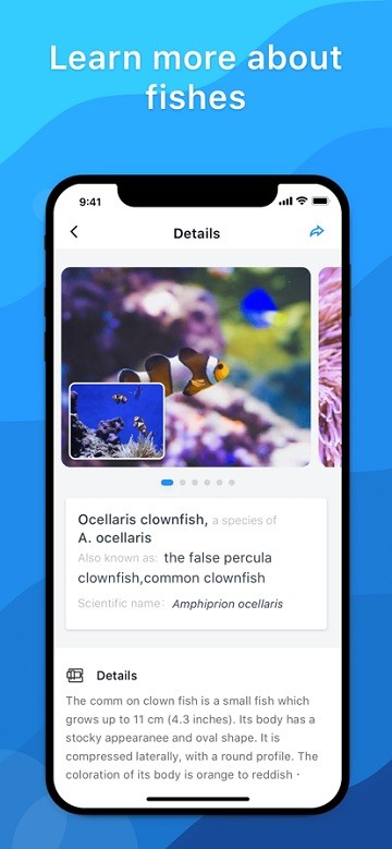 picture fish app v2.4.20 ׿ٷ2