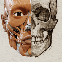 ֮3dͼapp׿(3d anatomy for the artist)